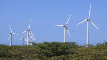 En el último trimestre entraron