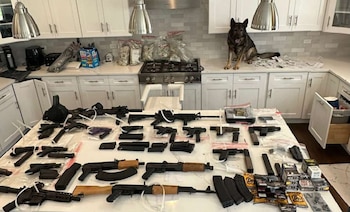 Además de una gran cantidad