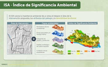 El Salvador oficializó una plataforma ambiental con inteligencia artificial y modelos predictivos. (Imagen ilustrativa Infobae)