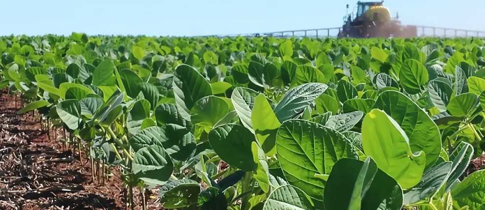 Nueva biotecnología para la soja promete un salto en el control de malezas y plagas