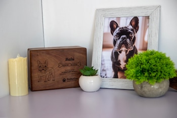 El proceso incluye retiro del animal, cremación y entrega de urna personalizada, con precios que oscilan entre USD 100 y 600 según el peso. (EFE/ STR)