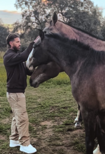 Sergio Ramos en la Yeguada SR4 (Instagram / @yeguadasr4oficial)