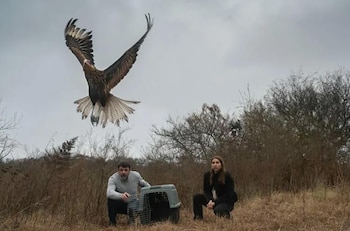 El momento exacto de la