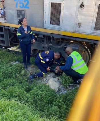 Se desconoce la identidad de la mujer afectada - crédito @pasaenbogota / x