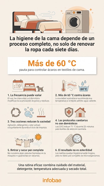 Infografía con ilustraciones de una cama, una lavadora, un termómetro en 60 grados Celsius, seis recuadros y el logotipo de Infobae.