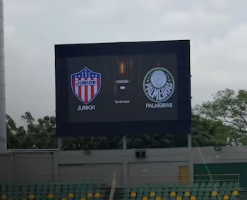 Júnior vs. palmeira