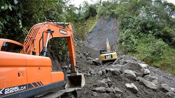 Así avanza la deforestación en Ecuador, uno de los países más biodiversos del mundo