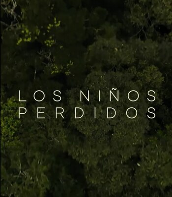 El proyecto tiene declaraciones e