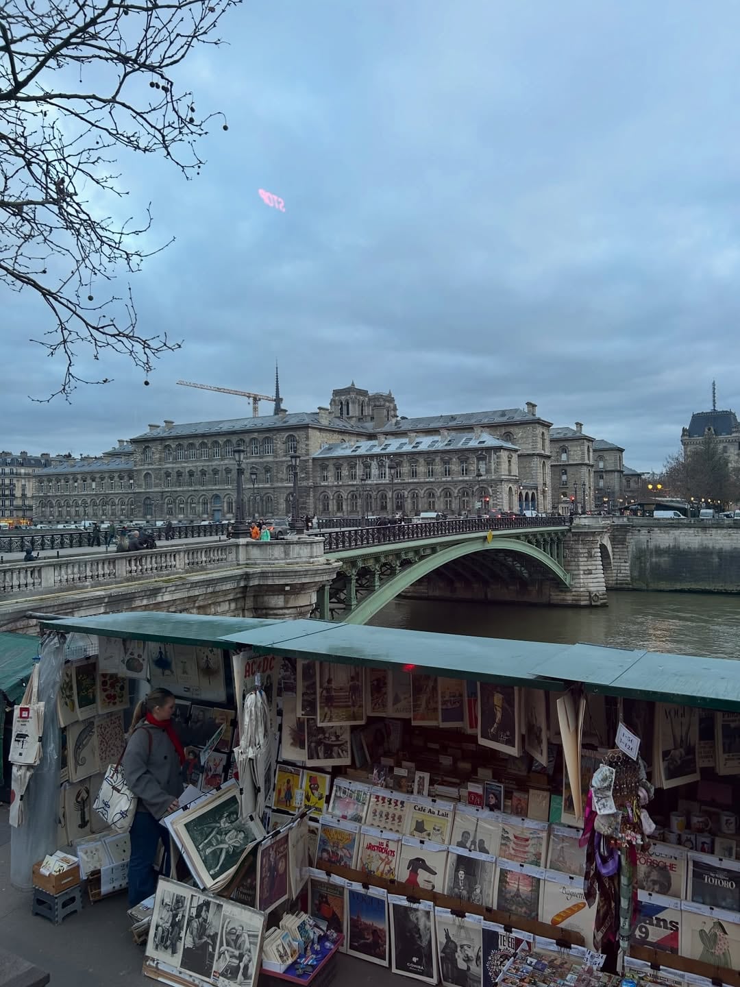 Postales invernales de París aportan introspección al viaje y muestran la ciudad desde una mirada contemplativa y silenciosa