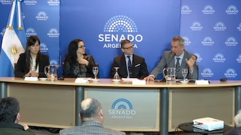 Senado: panel territorio y población