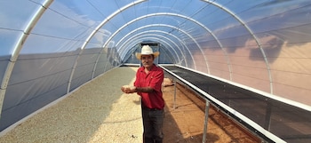 El Gobierno de Honduras invirtió más de 20.2 millones de lempiras para fortalecer la productividad agrícola frente a los desafíos del cambio climático.