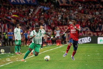 - crédito David Jaramillo /