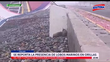 Oleajes Anómalos hicieron que piedras
