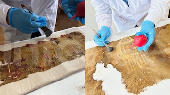 Los arqueólogos analizan textiles con diseños zoomorfos y peces, además de cerámicas con serpientes en alto relieve. (Composición: Infobae / Museo de Historia y Arte del Callao)