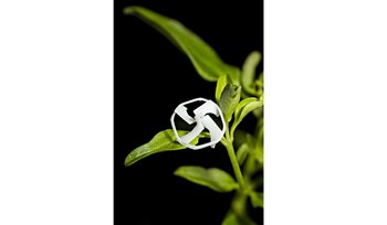 Por el momento, el robot