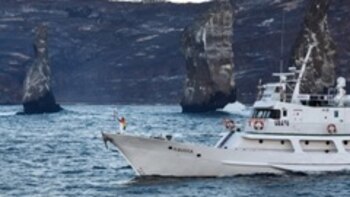 Torch Relay Update -- Flame