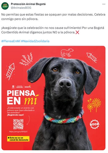 La iniciativa busca promover la tenencia responsable, la adopción y otros factores de bienestar animal en diciembre - crédito @AnimalesBOG