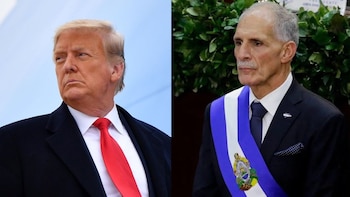 Eliminación de aranceles y seguridad