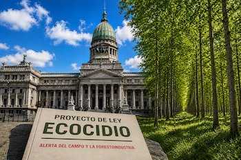 Congreso Nacional argentino, bosques y un libro que refiere al proyecto de ley de ecocidio