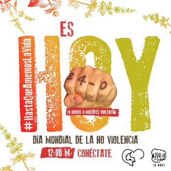 Cortesía: Fundación 24-0