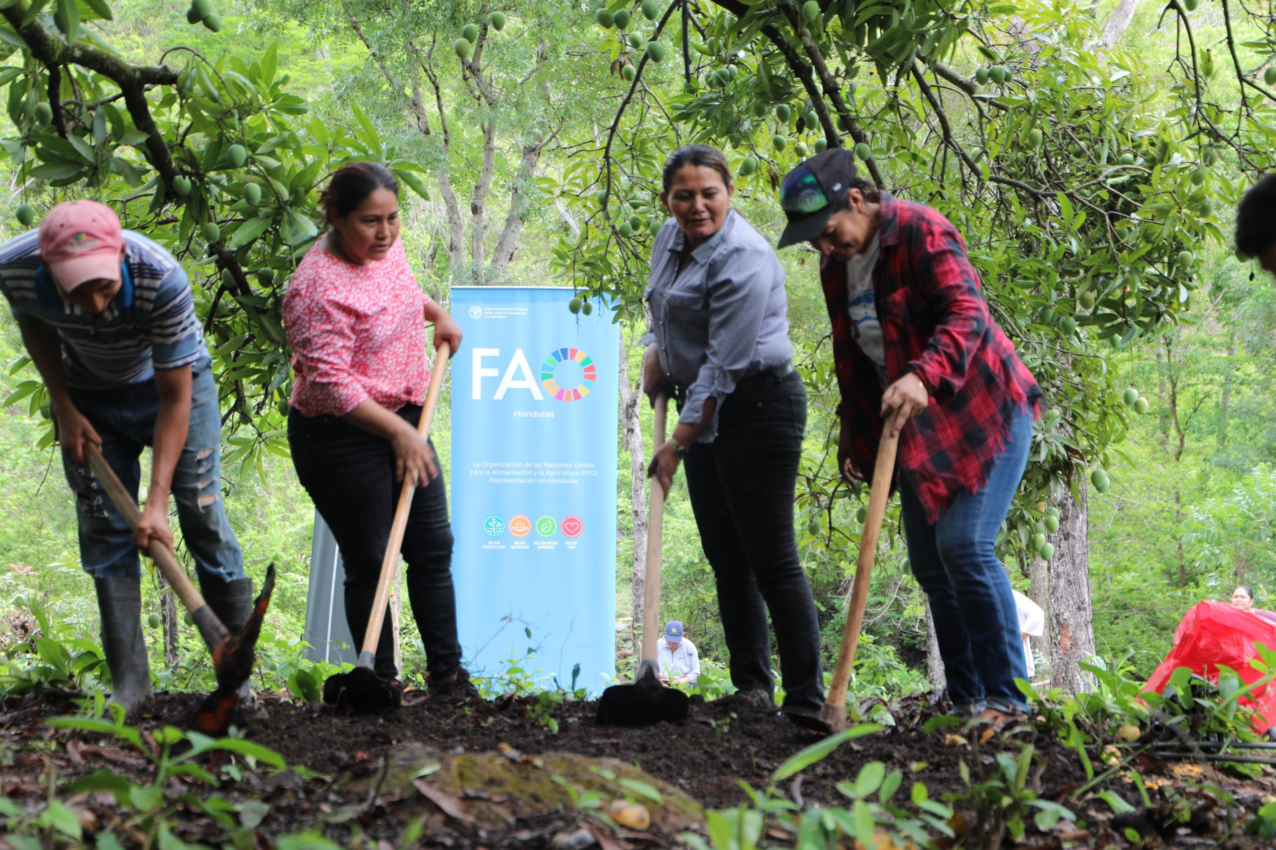 Los hogares rurales del Corredor Seco concluyen un plan preventivo ante la sequía.