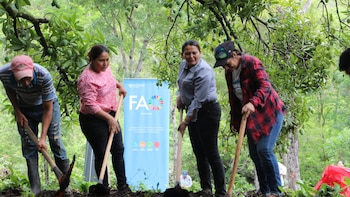 Buscan reducir el impacto de la sequía en 2,500 familias del Corredor Seco de Honduras