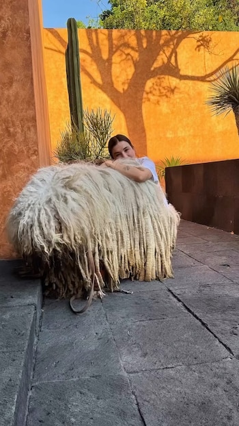 Una joven abraza a un perro Komondor de pelaje blanco y largo que yace en escalones de piedra; detrás, una pared naranja con la sombra de un árbol y un cactus