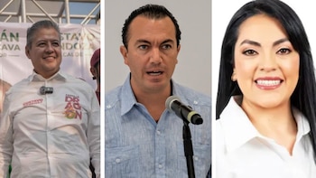 Ellos son los candidatos a