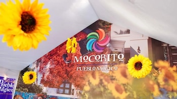 Mocorito será el epicentro de
