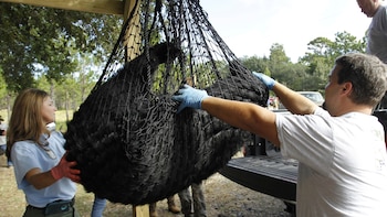 Florida inició la primera temporada