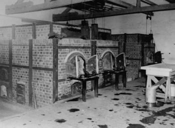 Aunque los dibujos de los