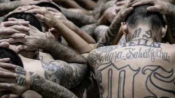 El efecto dominó de la MS13 y Barrio 18: neutralizadas en El Salvador, activas y fragmentadas en Guatemala y Honduras