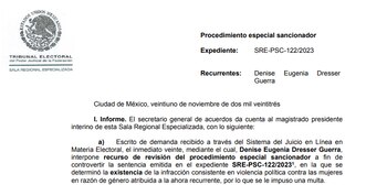 Impugnación de Denise Dresser ante