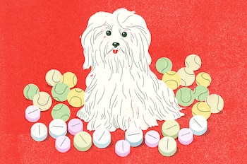 Al igual que con las