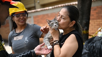 Alcaldía de Cali denuncia que animales están siendo abandonados en costales, tras el terremoto
