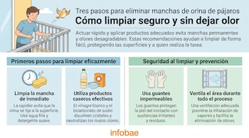 Ilustraci
on de un hombre limpiando una barandilla con un pa
o, un p
aj
aro, y cuadros de texto con iconos de reloj, esponja, botella de vinagre, caja de bicarbonato, guantes y ventana.