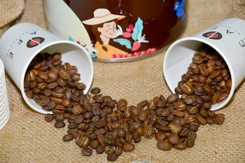 Granos de café salvadoreño de