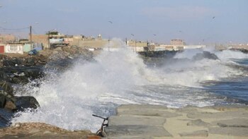 Como medida de prevención se