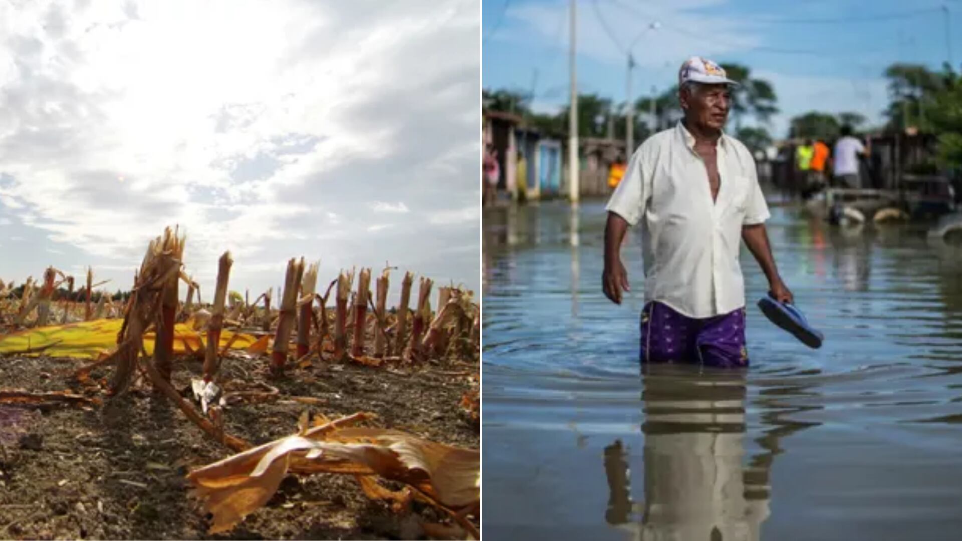 El Niño impacta con lluvias extremas en el norte peruano, mientras que la Niña lo hace con sequías en el sur. (Composición Infobae)