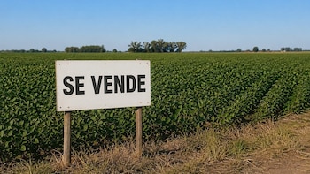 El mercado de compra y alquiler de campos recupera dinamismo