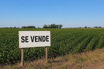 Campo agrícola con cartel de venta