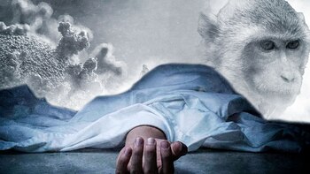 En México, cuatro muertes fueron