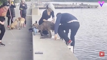 20-12-2021 Un hombre salva a