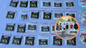 Golpe a red criminal La