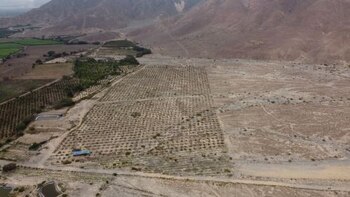 A pesar de su declaratoria