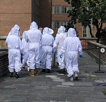 Bermondsey Street Bees tiene ochenta