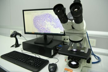 El evento servirá para escuchar