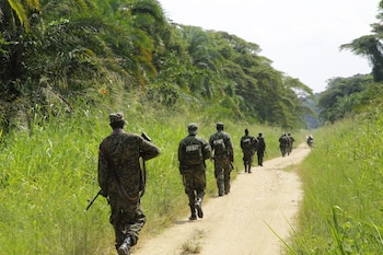 Imagen PCHJRF6CJNHL3PHRC2AHKGG2NE