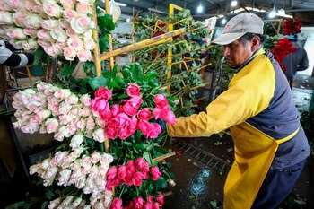 Fotografía del 8 de febrero