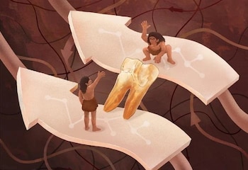 Hace 400.000 años, Eurasia albergaba diversas especies humanas, incluyendo Homo erectus (IVPP)